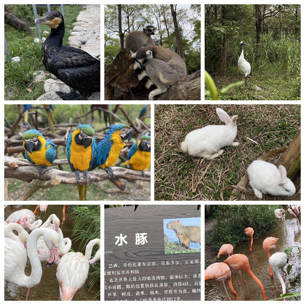 厚積薄發，蓄力前行：大手牽小手，共圓實佳夢